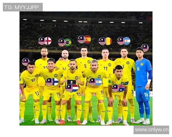 七名归化球员起诉马来西亚足协索赔因违规禁赛一年事件引发关注